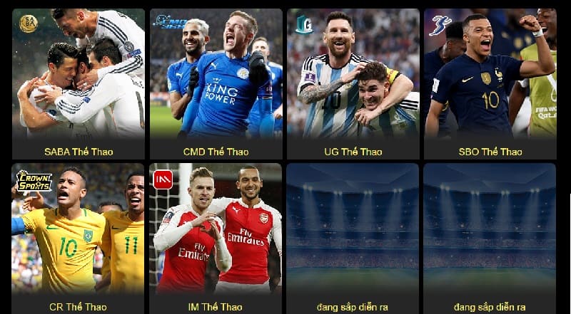 Cá cược thể thao tại WIN55 mang đến những loại kèo hấp dẫn