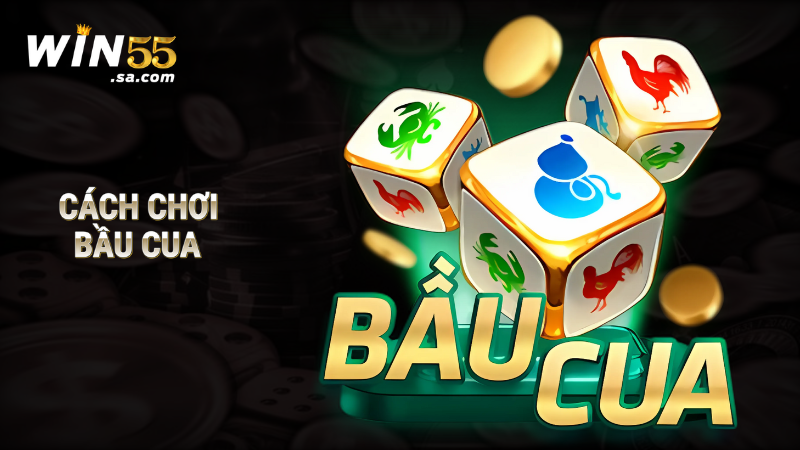 Cách chơi Bầu Cua